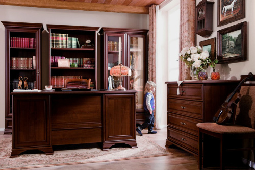 Шкаф витрина REG2W1S Kentaki Каштан фото 4