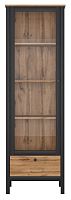 Шкаф витрина REG1W1S Loft