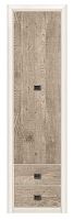 Шкаф REG1D2S Коен Сосна
